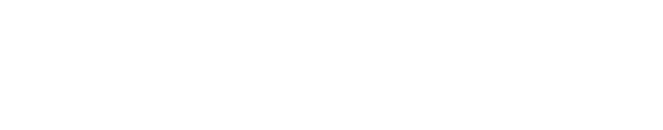 ALEI logo-white horizontal